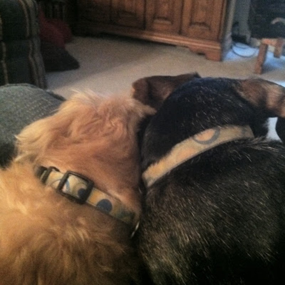 Meet your Posher, Tanyacroft1 - Picture 1 of 1